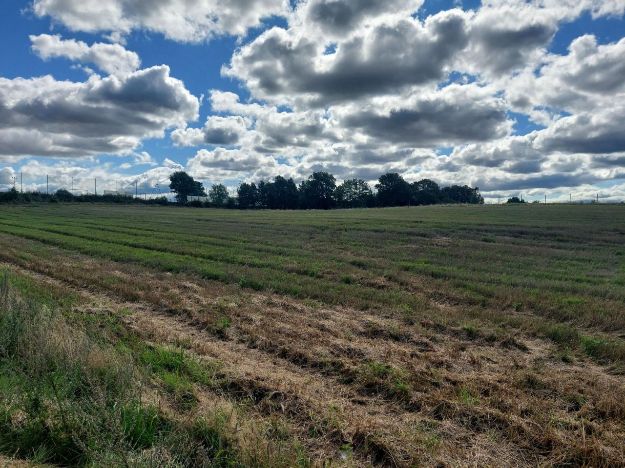 Działka siedliskowa Malechowo. Zdjęcie 3