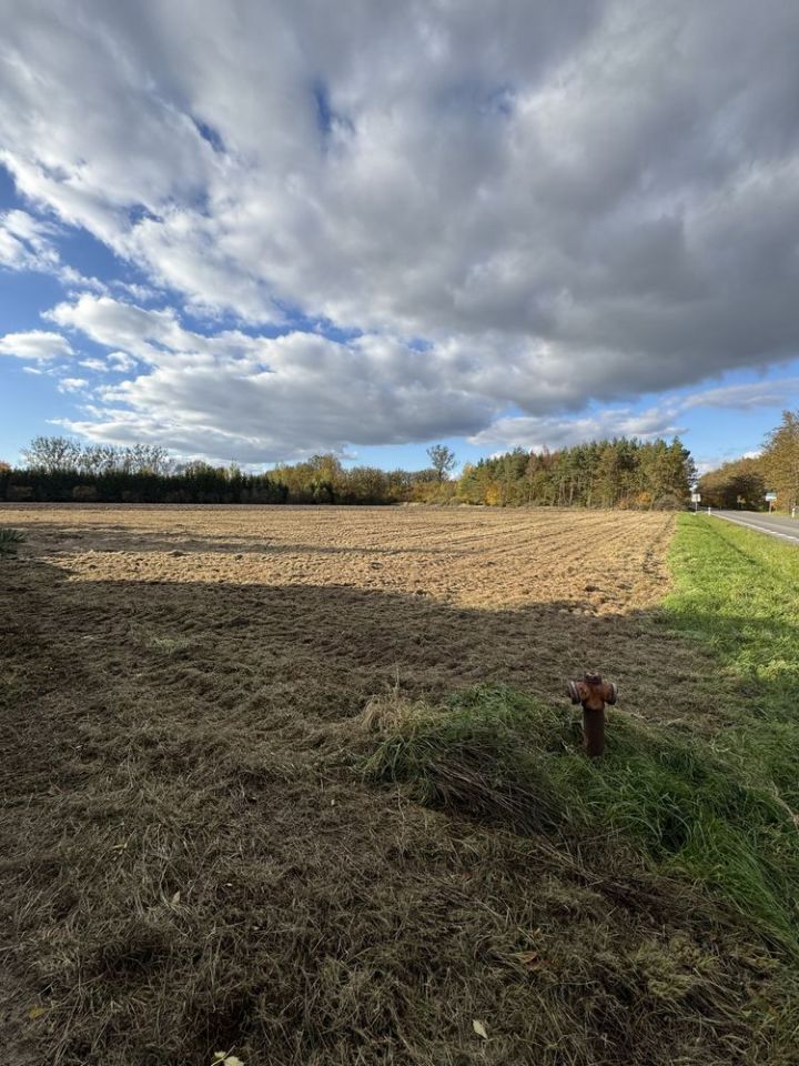 Działka budowlana Raków. Zdjęcie 4