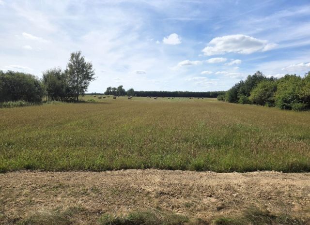 Działka rolna Kopytów-Kolonia. Zdjęcie 8