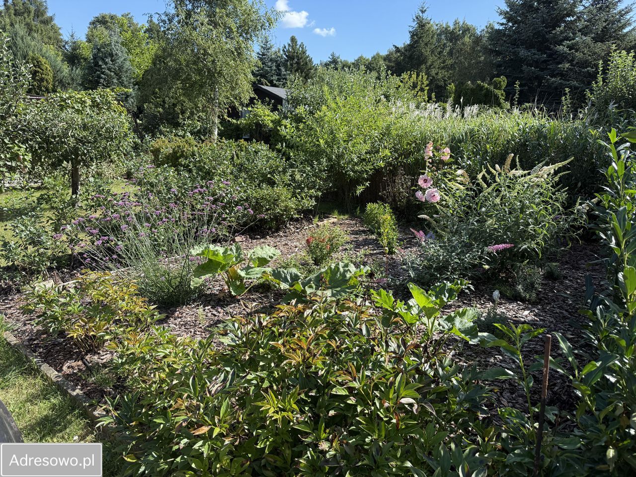 dom wolnostojący, 3 pokoje Kołata. Zdjęcie 5