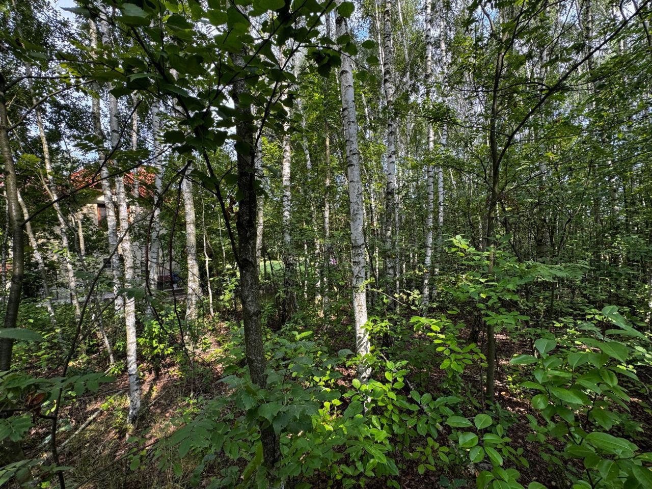Działka budowlana Plichtów. Zdjęcie 7