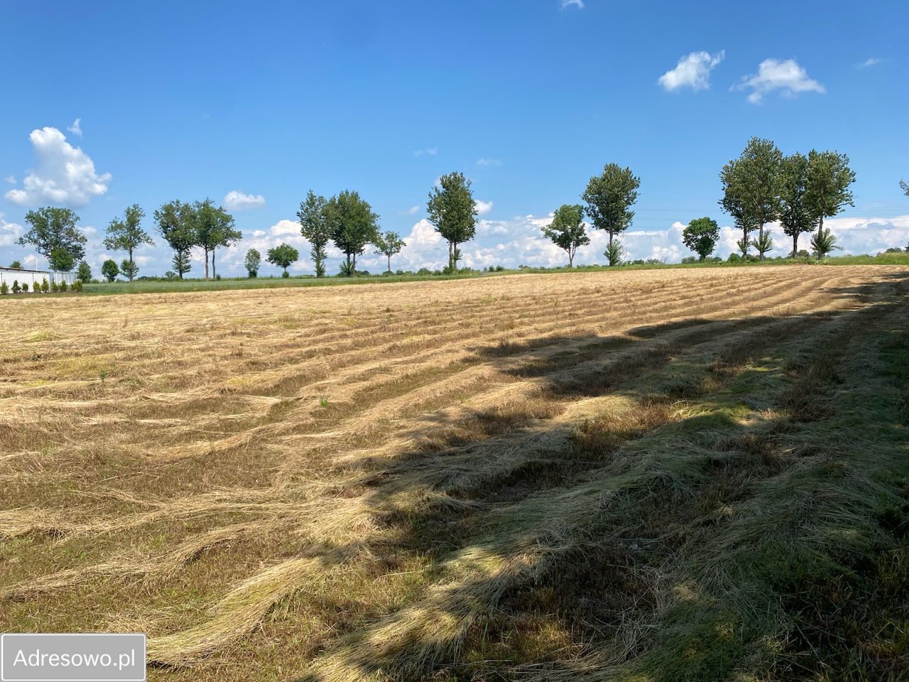 Działka budowlana Bodzanów. Zdjęcie 11