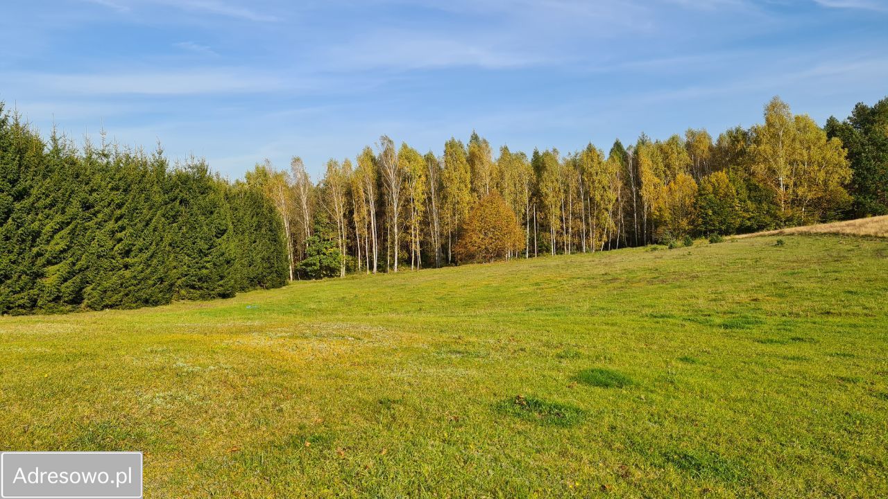 Działka budowlana Rychnowska Wola. Zdjęcie 5