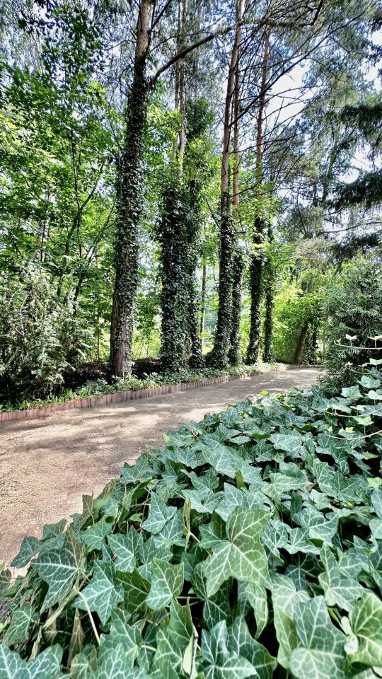 Działka budowlana Radom Śródmieście, ul. Małopolska. Zdjęcie 11