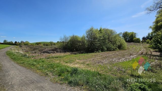 Działka siedliskowa Wilczkowo. Zdjęcie 13