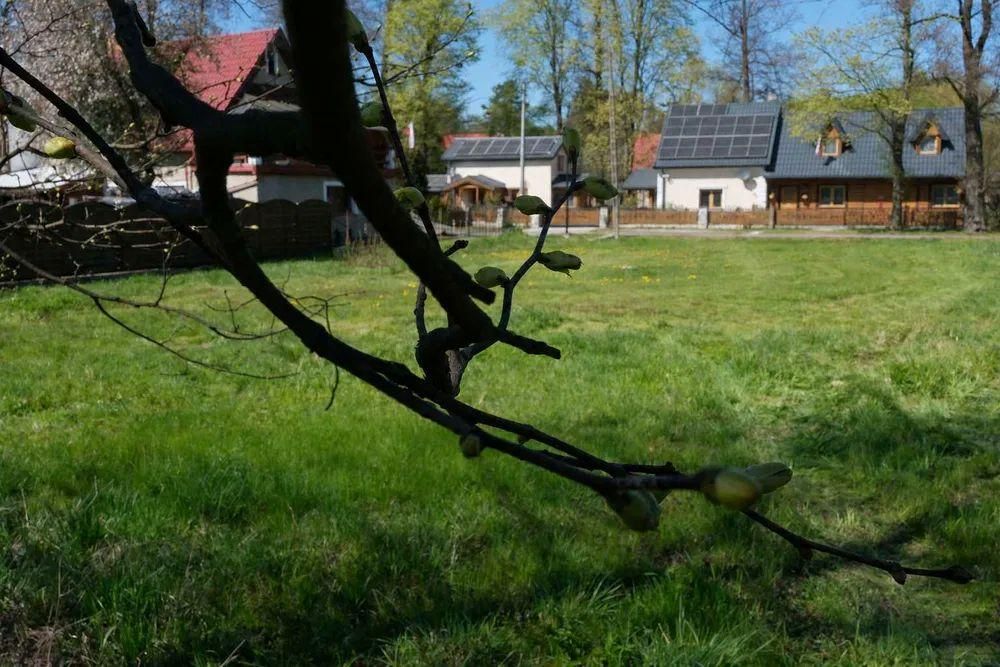 Działka budowlana Kudowa-Zdrój Słone, ul. Słone. Zdjęcie 12