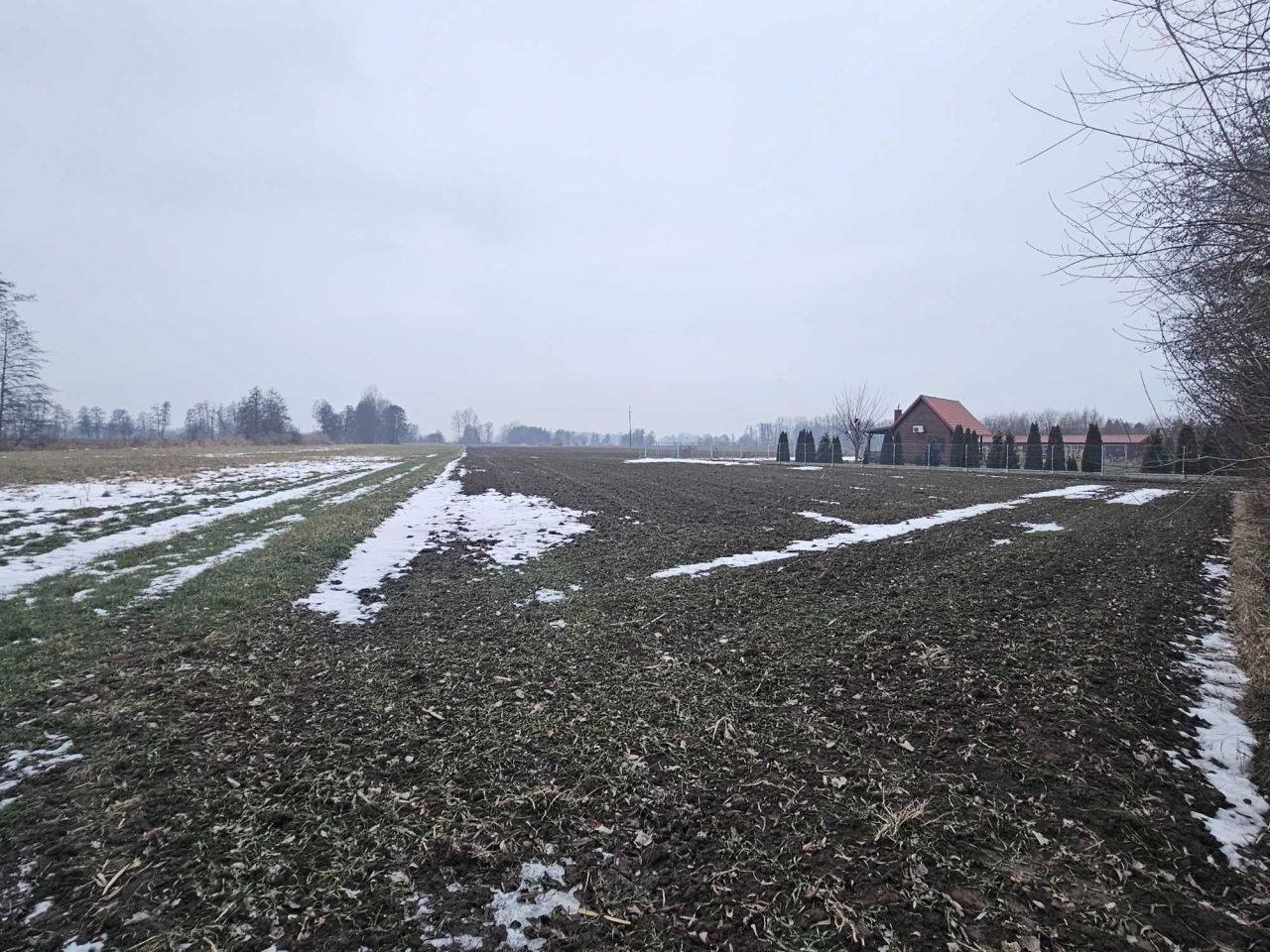 Działka rolno-budowlana Góra. Zdjęcie 6