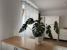 Mieszkanie 2-pokojowe Białystok Nowe Miasto, ul. Pogodna. Zdjęcie 3