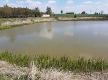 Działka rekreacyjna Kolonia Strzegocin. Zdjęcie 2