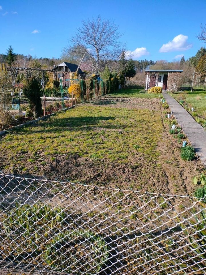 Działka rod Ziębice. Zdjęcie 2