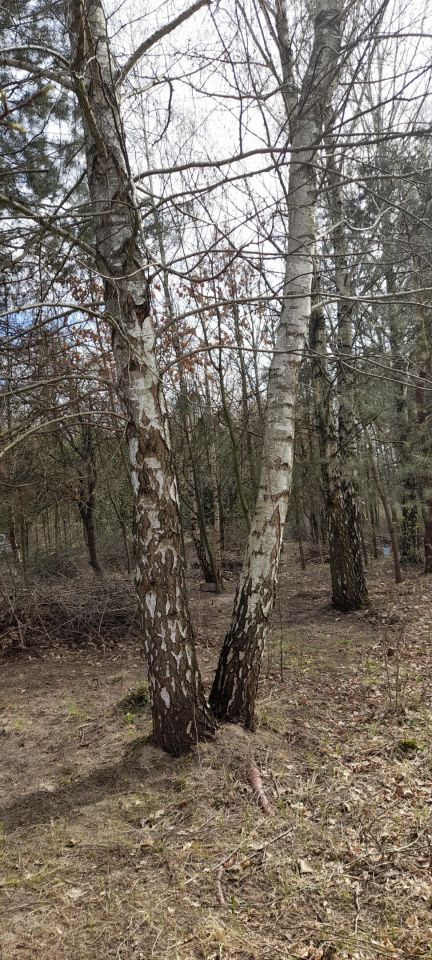 Działka budowlana Pionki, ul. Wesoła. Zdjęcie 7