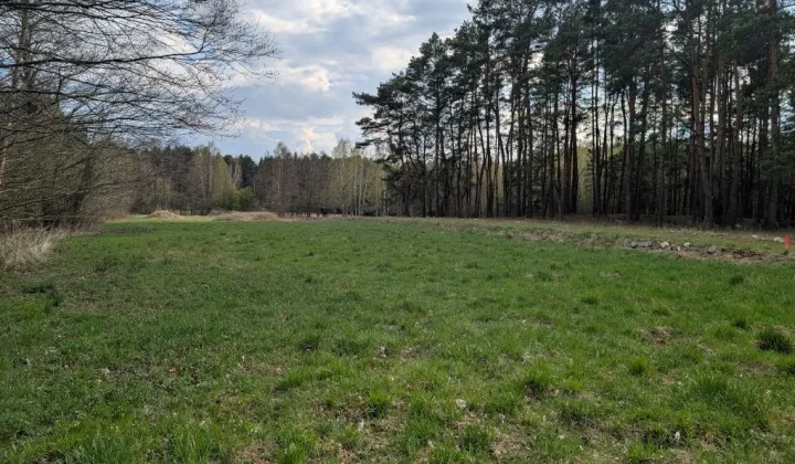 Działka rolna Dziechciniec, ul. Ziołowa
