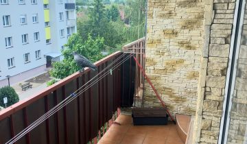 Mieszkanie 3-pokojowe Nowogród Bobrzański Krzystkowice, ul. Pocztowa