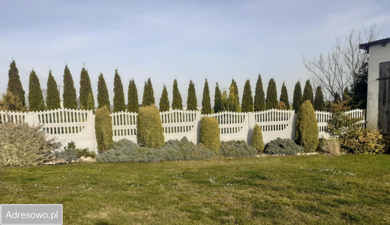 siedlisko Taszewskie Pole. Zdjęcie 18