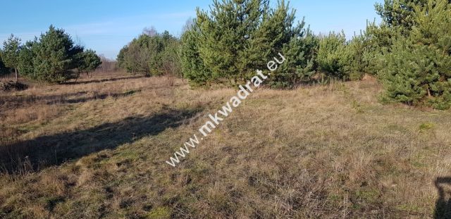 Działka budowlana Budy-Grzybek. Zdjęcie 1