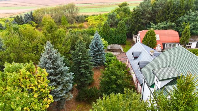 Działka rolna Zochcinek. Zdjęcie 14