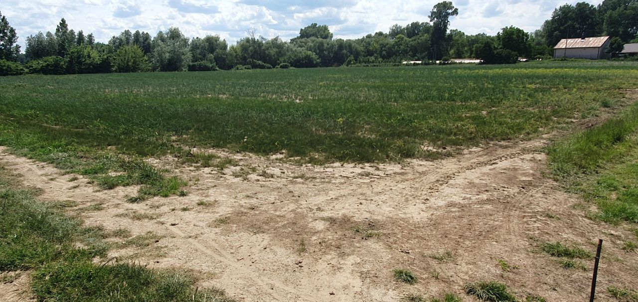 Działka rolna Stare Podole. Zdjęcie 2