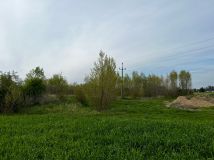 Działka rolna Kolsko, Kolsko. Zdjęcie 2