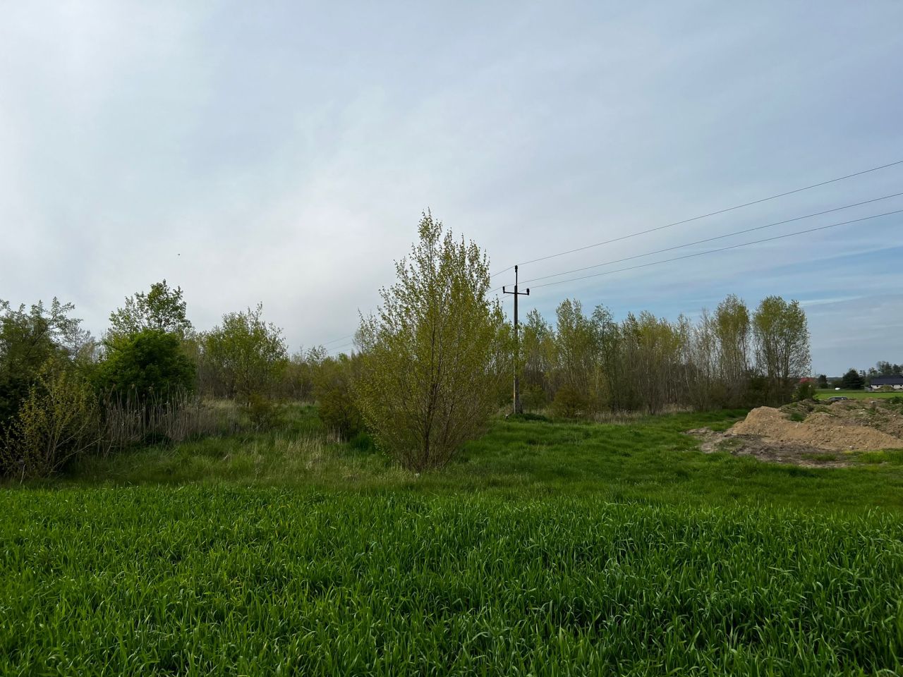 Działka rolna Kolsko, Kolsko. Zdjęcie 3