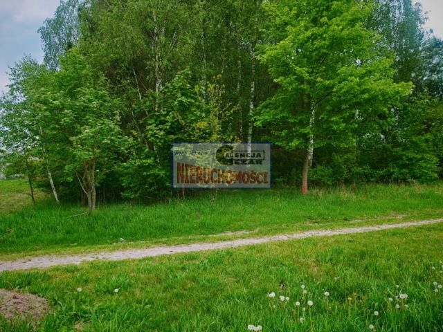 Działka rolno-budowlana Dłużew. Zdjęcie 7