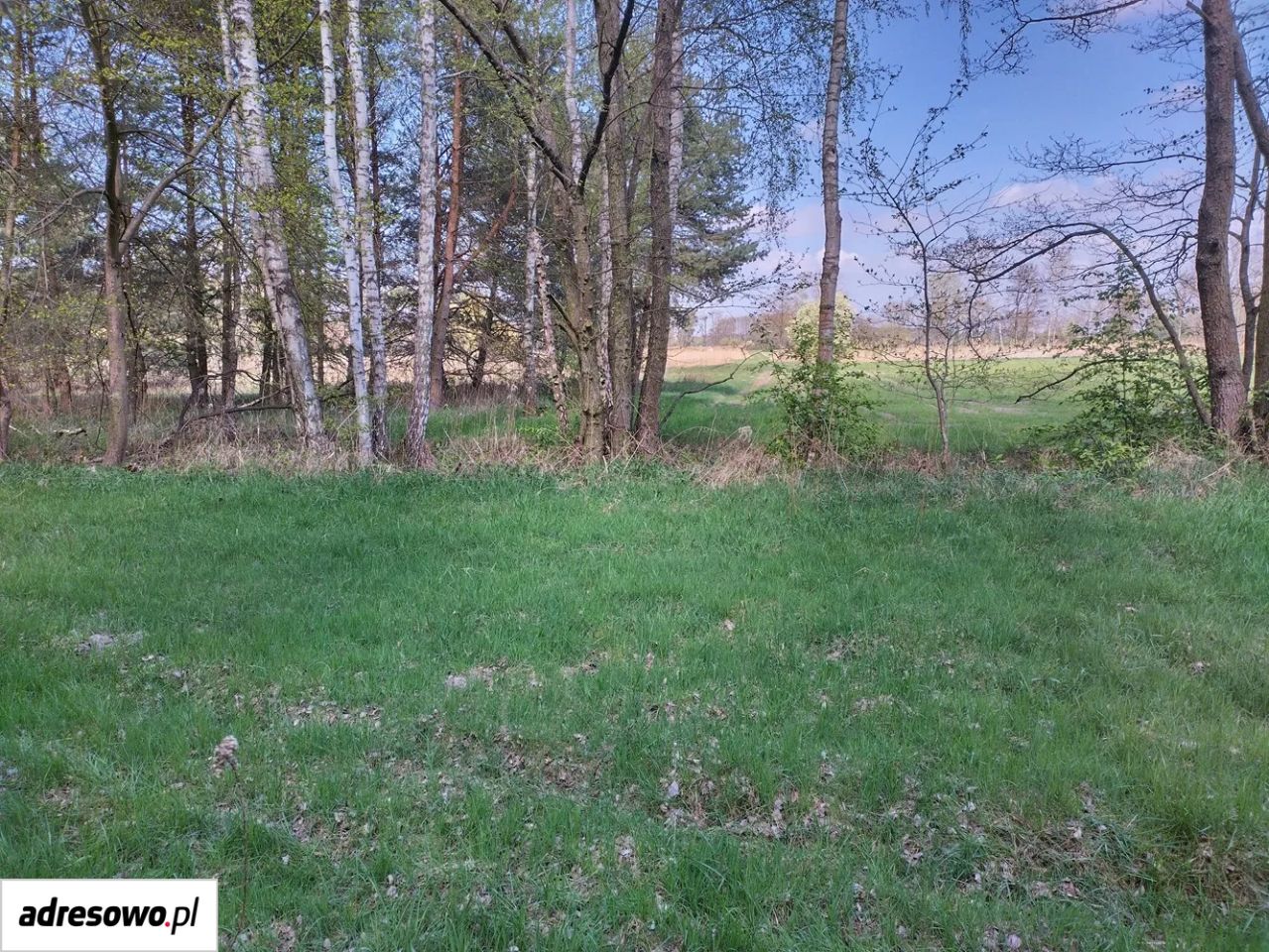 Działka rekreacyjna Karłowice. Zdjęcie 7