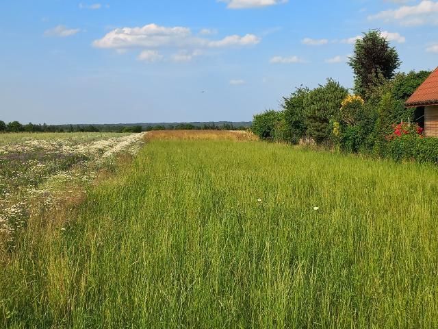 Działka rolna Wojszyn. Zdjęcie 1