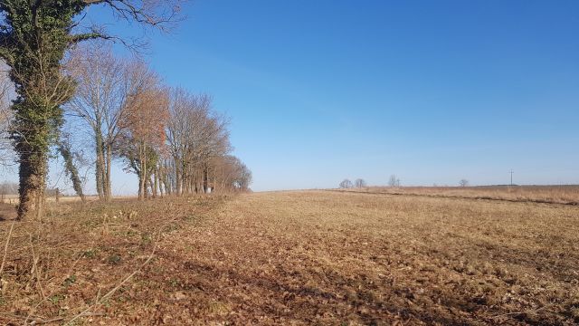 Działka rolna Dargikowo. Zdjęcie 1