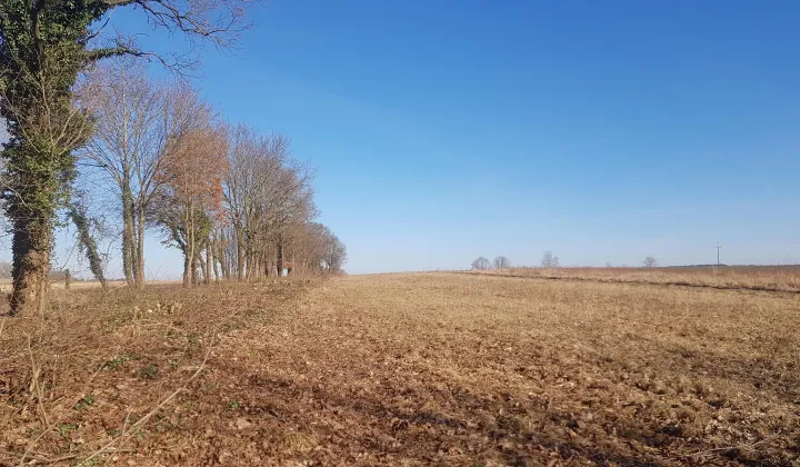 Działka rolna Dargikowo