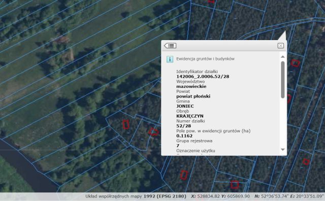 Działka leśna Krajęczyn. Zdjęcie 1