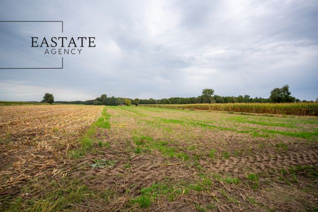 Działka budowlana Gągolin Północny. Zdjęcie 8