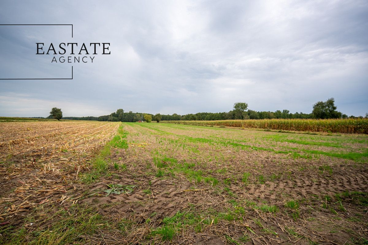 Działka budowlana Gągolin Północny. Zdjęcie 8