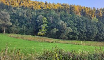 Działka inwestycyjna Lutynia