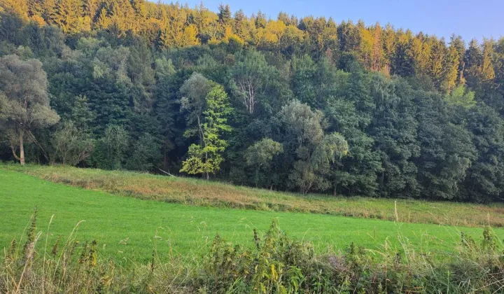 Działka inwestycyjna Lutynia