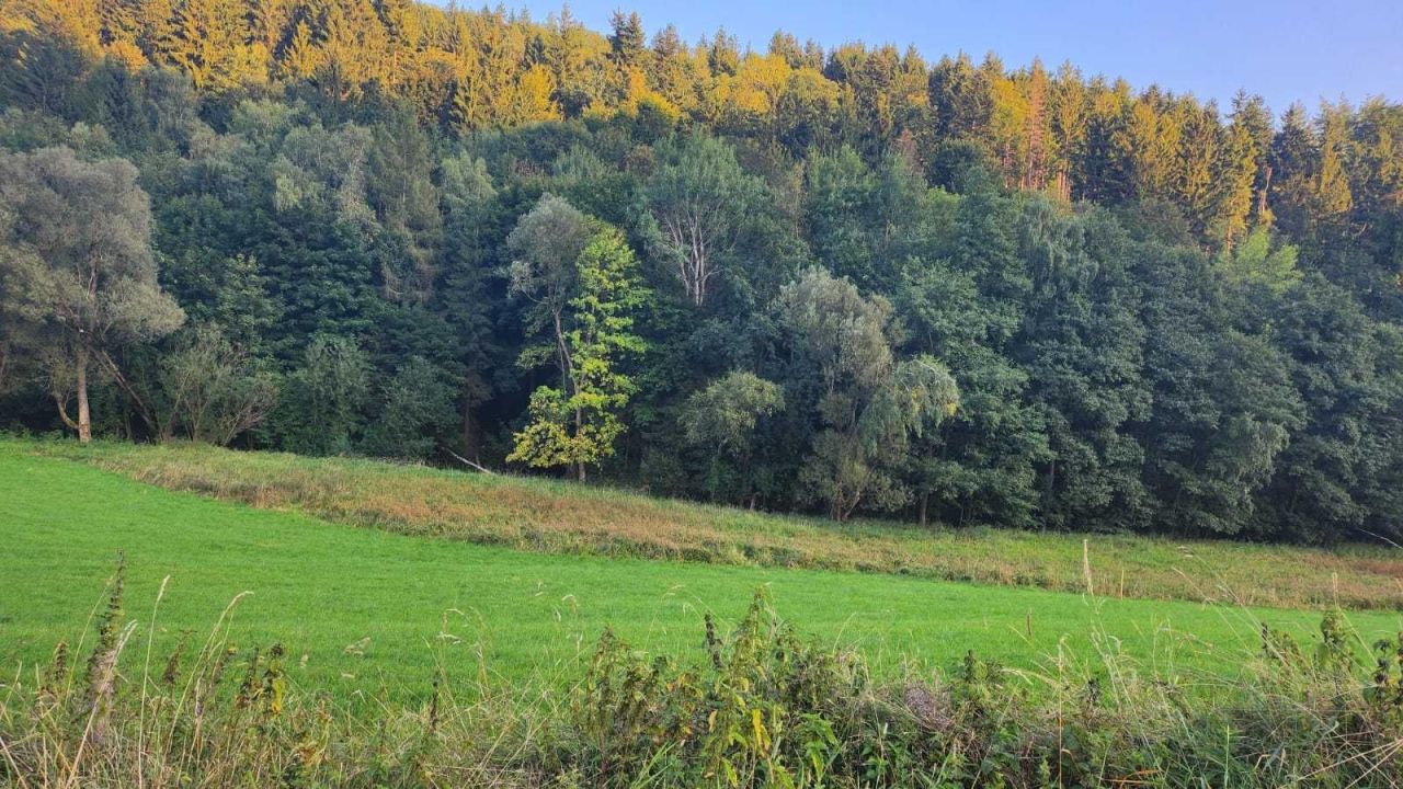 Działka inwestycyjna Lutynia