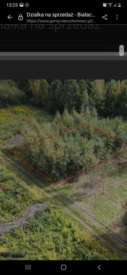 Działka budowlana Zakrzów. Zdjęcie 2