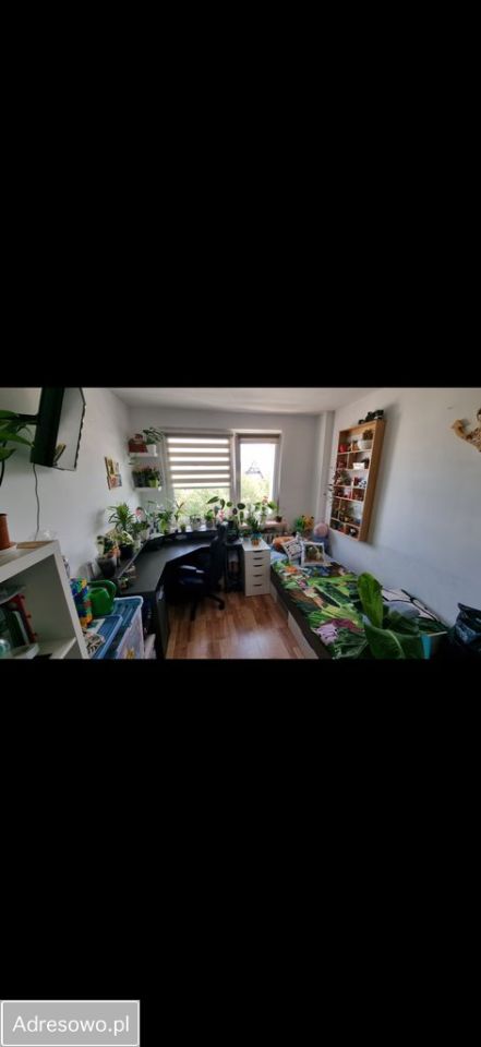 Mieszkanie 3-pokojowe Sosnowiec Centrum, ul. Naftowa. Zdjęcie 3