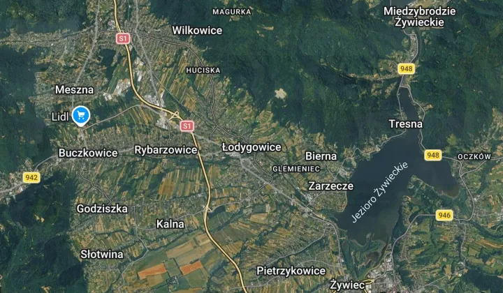 Działka leśna Łodygowice