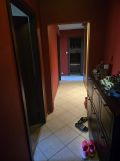 Mieszkanie 3-pokojowe Wrocław Gaj, ul. Krynicka. Zdjęcie 2