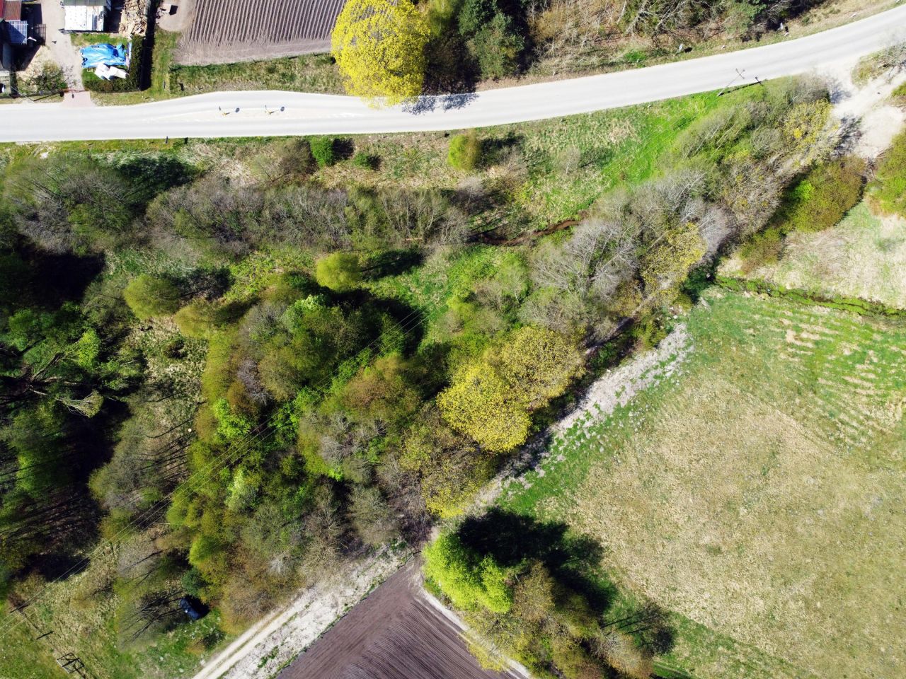 Działka rolna Dargiń. Zdjęcie 8