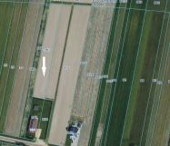 Działka rekreacyjna Rososza. Zdjęcie 2