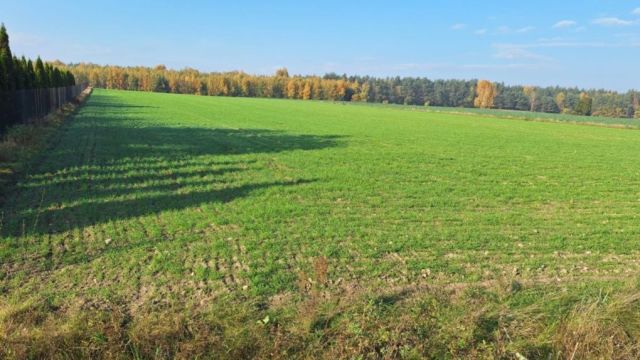 Działka budowlana Winnica. Zdjęcie 1