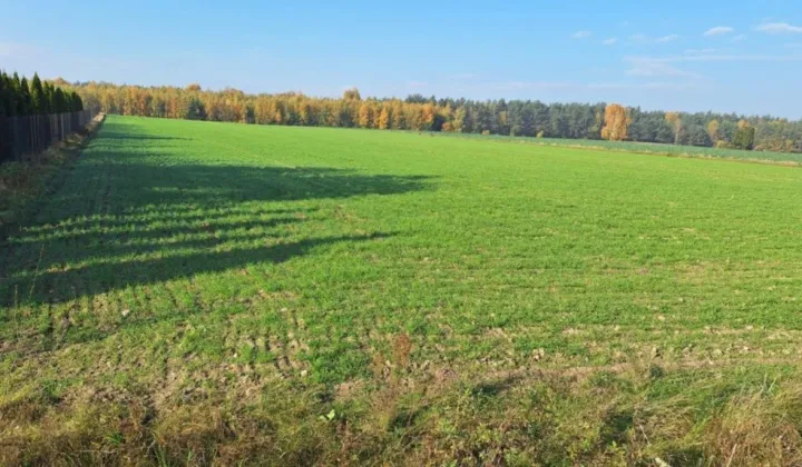 Działka budowlana Winnica