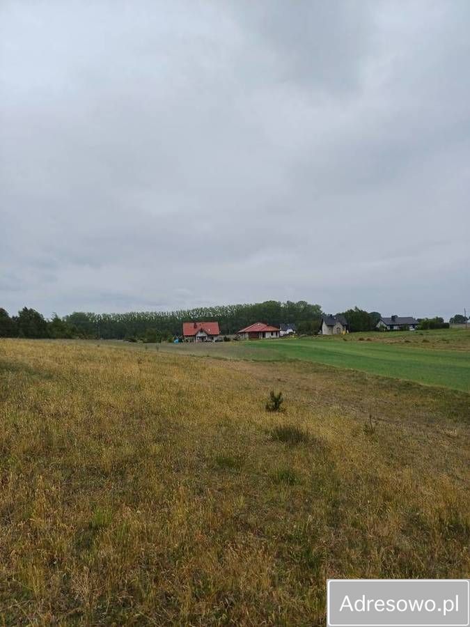 Działka inwestycyjna Kikorze. Zdjęcie 11