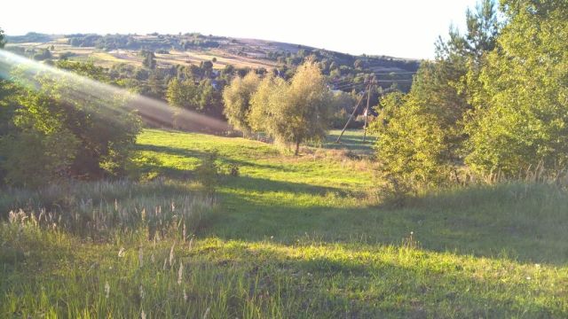 Działka rolna Pruchnik, ul. Miodowa. Zdjęcie 1