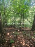 Działka leśna Nagawki. Zdjęcie 4