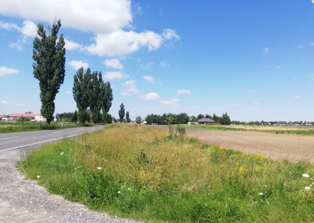 Działka inwestycyjna Lubanów, Lubanów. Zdjęcie 1
