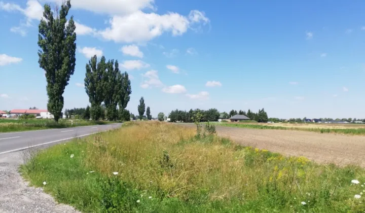 Działka inwestycyjna Lubanów, Lubanów