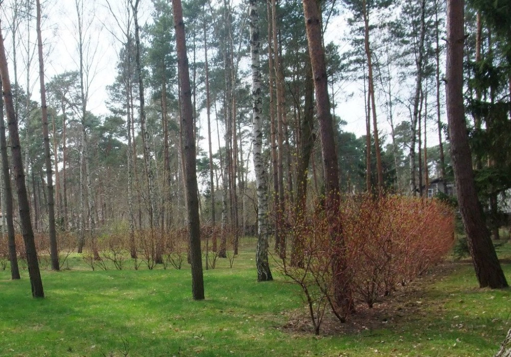 Działka budowlana Konstancin-Jeziorna Konstancin, ul. Potulickich. Zdjęcie 9