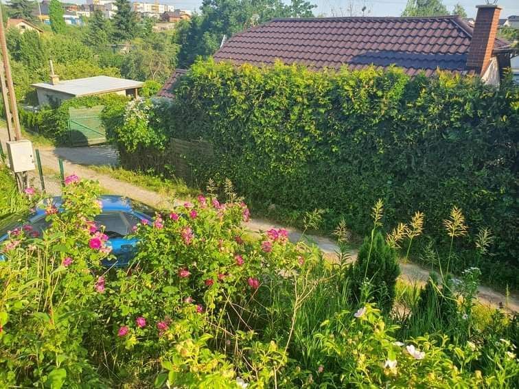 Działka rod Gdańsk Jasień, ul. Źródlana. Zdjęcie 3