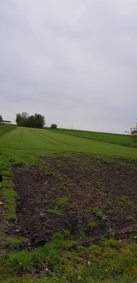 dom wolnostojący, 7 pokoi Kowale Trakt Ożarowski, ul. Ożarowska. Zdjęcie 4